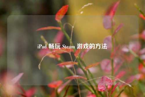 iPad 畅玩 Steam 游戏的方法