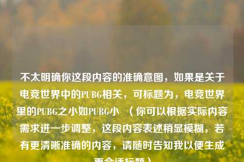 不太明确你这段内容的准确意图，如果是关于电竞世界中的PUBG相关，可标题为，电竞世界里的PUBG之小如PUBG小  （你可以根据实际内容需求进一步调整，这段内容表述稍显模糊，若有更清晰准确的内容，请随时告知我以便生成更合适标题）