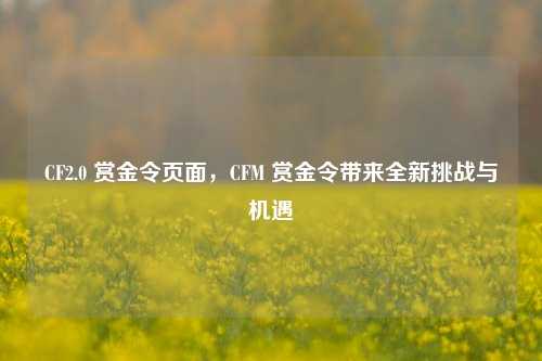 CF2.0 赏金令页面,CFM 赏金令带来全新挑战与机遇
