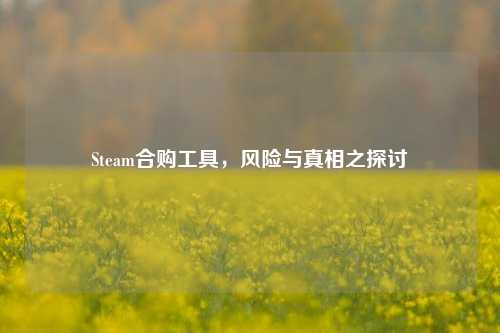 Steam合购工具,风险与真相之探讨