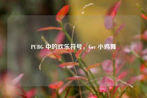 PUBG 中的欢乐符号,Grr 小鸡舞