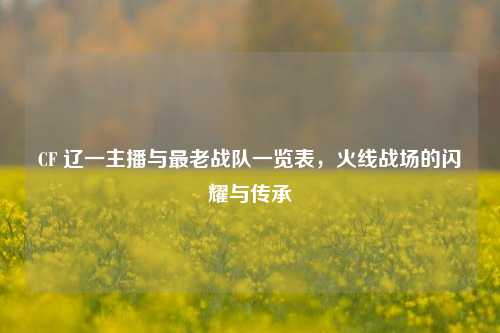 CF 辽一主播与最老战队一览表,火线战场的闪耀与传承