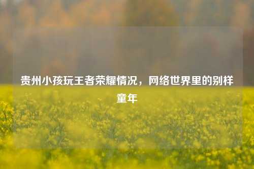 贵州小孩玩王者荣耀情况，网络世界里的别样童年