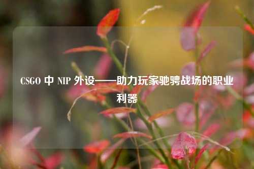 CSGO 中 NIP 外设——助力玩家驰骋战场的职业利器
