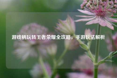 游戏柄玩转王者荣耀全攻略，手游玩法解析