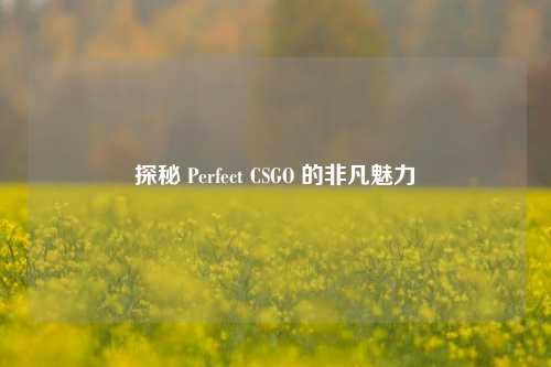 探秘 Perfect CSGO 的非凡魅力