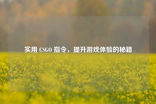 实用 CSGO 指令，提升游戏体验的秘籍