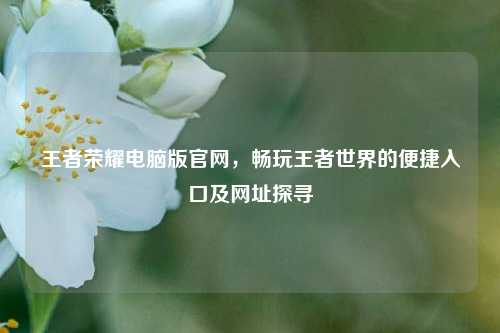 王者荣耀电脑版官网,畅玩王者世界的便捷入口及网址探寻