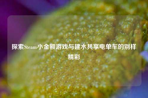 探索Steam小金额游戏与建水共享电单车的别样精彩
