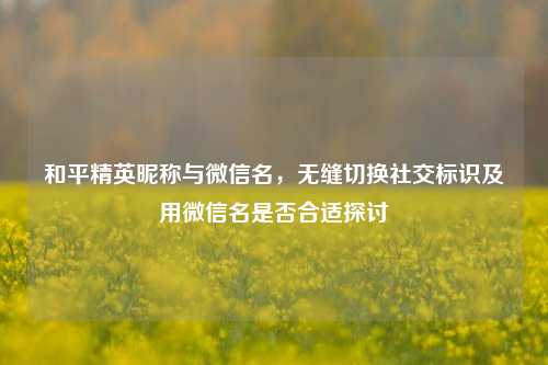 和平精英昵称与微信名,无缝切换社交标识及用微信名是否合适探讨