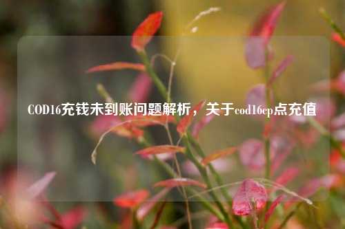 COD16充钱未到账问题解析,关于cod16cp点充值