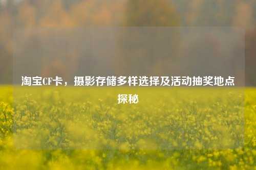 淘宝CF卡,摄影存储多样选择及活动抽奖地点探秘