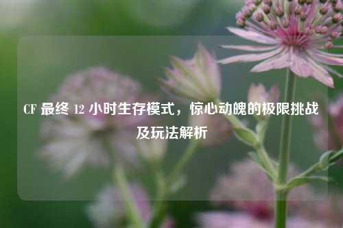 CF 最终 12 小时生存模式，惊心动魄的极限挑战及玩法解析