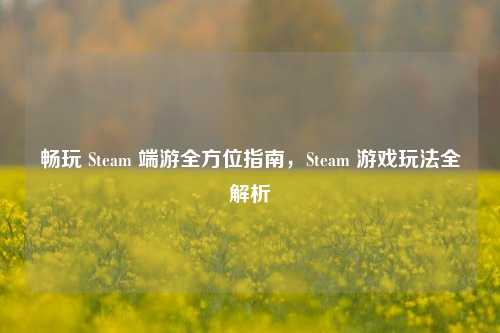 畅玩 Steam 端游全方位指南，Steam 游戏玩法全解析