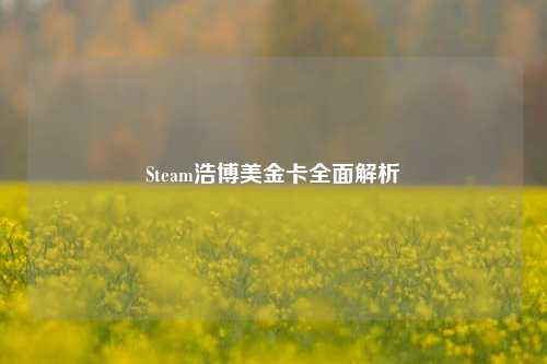 Steam浩博美金卡全面解析