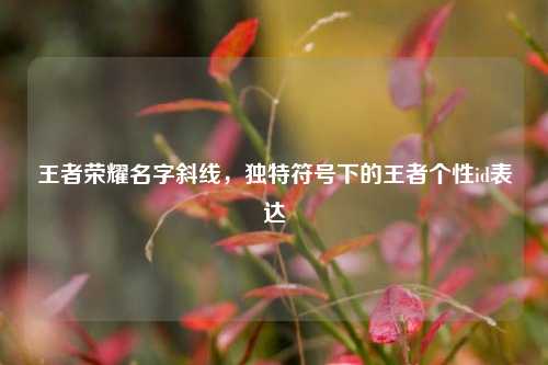 王者荣耀名字斜线,独特符号下的王者个性id表达