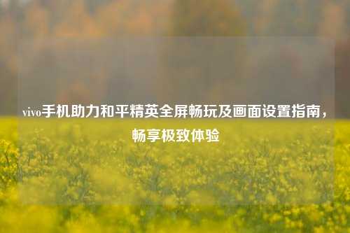 vivo手机助力和平精英全屏畅玩及画面设置指南，畅享极致体验