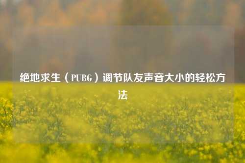 绝地求生(PUBG)调节队友声音大小的轻松方法