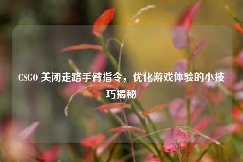CSGO 关闭走路手臂指令，优化游戏体验的小技巧揭秘