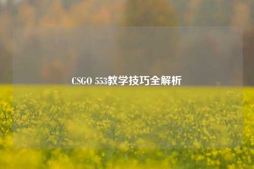 CSGO 553教学技巧全解析