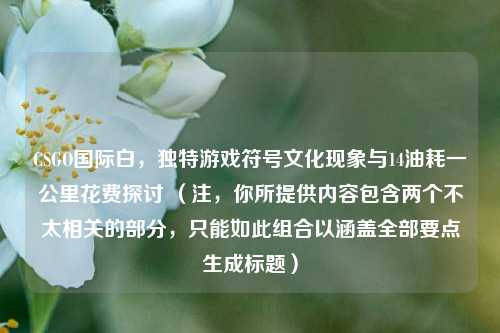 CSGO国际白，独特游戏符号文化现象与14油耗一公里花费探讨 （注，你所提供内容包含两个不太相关的部分，只能如此组合以涵盖全部要点生成标题）