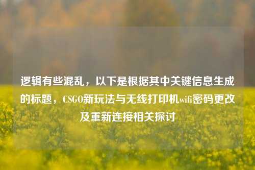 逻辑有些混乱,以下是根据其中关键信息生成的标题,CSGO新玩法与无线打印机wifi密码更改及重新连接相关探讨