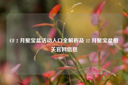 CF 2 月聚宝盆活动入口全解析及 12 月聚宝盆相关官网信息