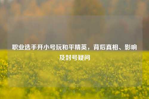 职业选手开小号玩和平精英，背后真相、影响及封号疑问