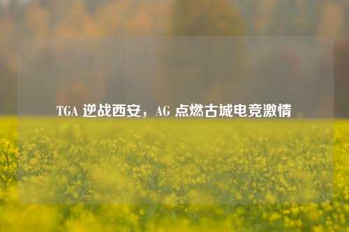 TGA 逆战西安，AG 点燃古城电竞激情