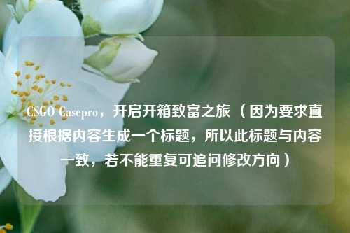 CSGO Casepro，开启开箱致富之旅 （因为要求直接根据内容生成一个标题，所以此标题与内容一致，若不能重复可追问修改方向）