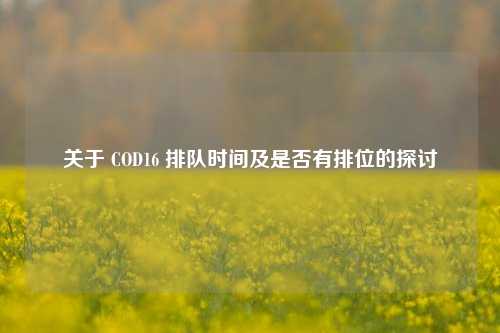 关于 COD16 排队时间及是否有排位的探讨