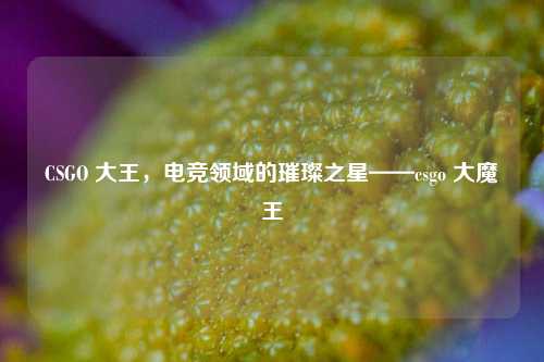 CSGO 大王，电竞领域的璀璨之星——csgo 大魔王