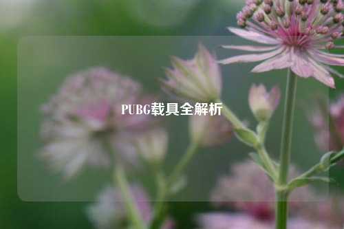 PUBG载具全解析