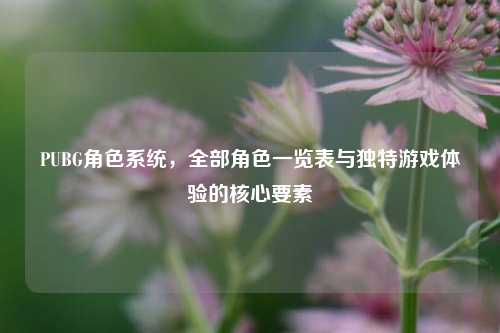 PUBG角色系统，全部角色一览表与独特游戏体验的核心要素