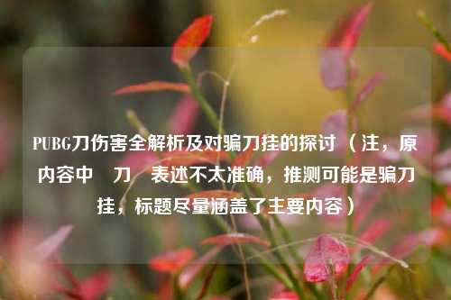 PUBG刀伤害全解析及对骗刀挂的探讨 （注，原内容中騙刀掛表述不太准确，推测可能是骗刀挂，标题尽量涵盖了主要内容）
