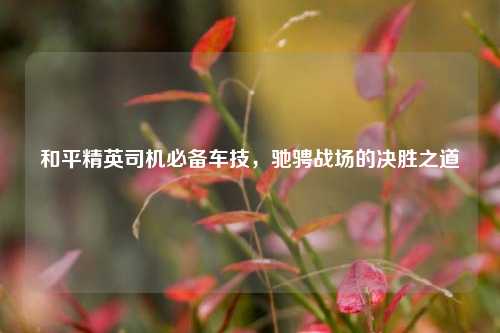 和平精英司机必备车技,驰骋战场的决胜之道
