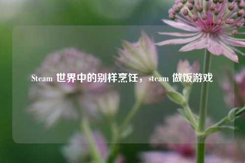 Steam 世界中的别样烹饪，steam 做饭游戏