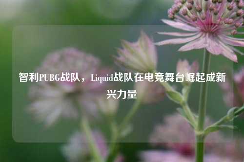 智利PUBG战队，Liquid战队在电竞舞台崛起成新兴力量