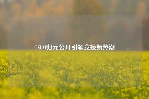 CSGO归元公开引领竞技新热潮