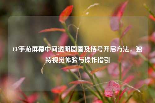 CF手游屏幕中间透明圆圈及括号开启方法，独特视觉体验与操作指引