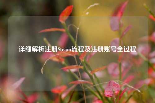 详细解析注册Steam流程及注册账号全过程