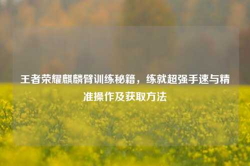 王者荣耀麒麟臂训练秘籍,练就超强手速与精准操作及获取方法