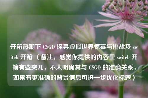 开箱热潮下 CSGO 探寻虚拟世界惊喜与挑战及 switch 开箱 (备注,感觉你提供的内容里 switch 开箱有些突兀,不太明确其与 CSGO 的准确关系,如果有更准确的背景信息可进一步优化标题)