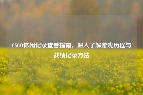 CSGO休闲记录查看指南，深入了解游戏历程与战绩记录方法