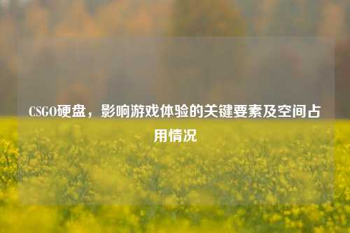 CSGO硬盘，影响游戏体验的关键要素及空间占用情况