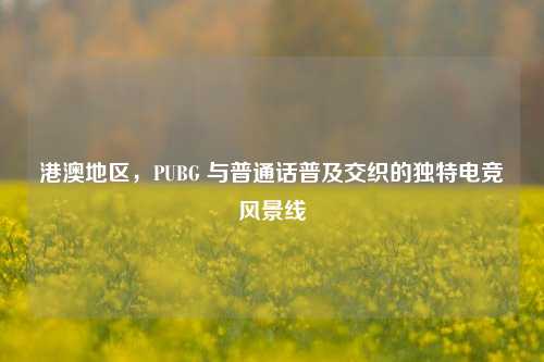 港澳地区,PUBG 与普通话普及交织的独特电竞风景线