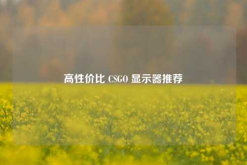 高性价比 CSGO 显示器推荐