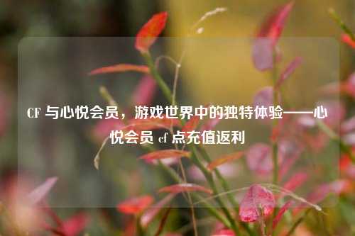 CF 与心悦会员,游戏世界中的独特体验——心悦会员 cf 点充值返利