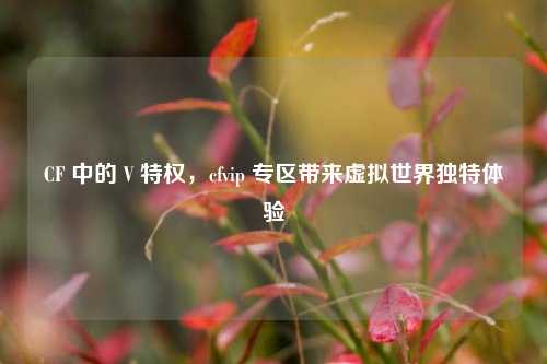 CF 中的 V 特权,cfvip 专区带来虚拟世界独特体验