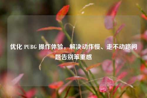优化 PUBG 操作体验,解决动作慢、走不动路问题告别笨重感
